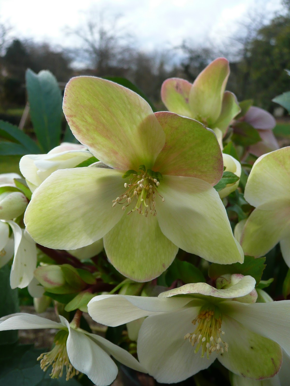 Notre Jardin Secret Un Dimanche De Mai