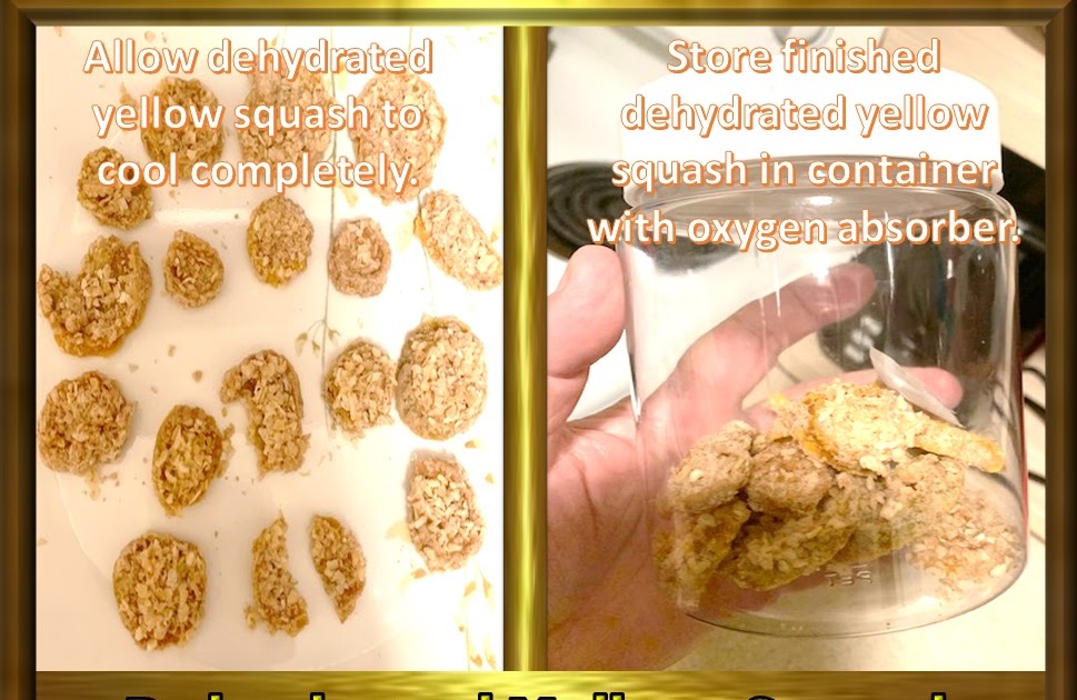 Animal, Nature, and Travel Tastebud Journey Dehydrated Yellow Squash Chips in Dehydrator