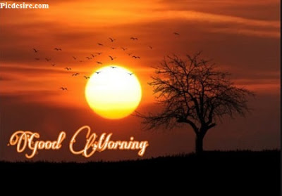 These Best 99+ Good Morning Images will make your day These Best 99+ Good Morning Images will make your day