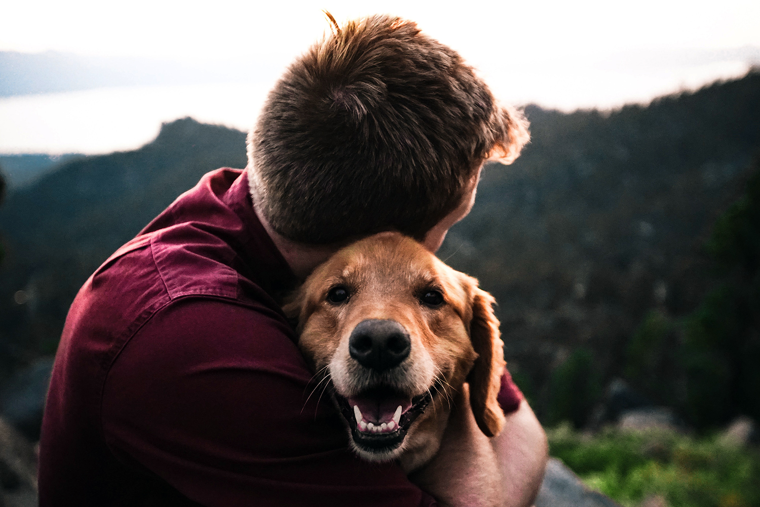 relationship with dog