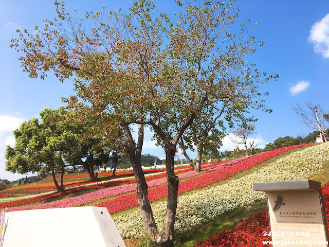 北投社三層崎公園花海