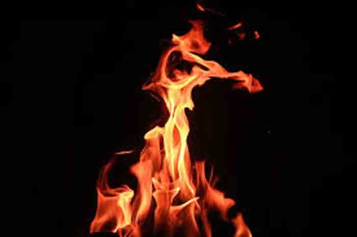 Antagonism; Anti-social elements set fire to a woman's house in Thiruvananthapuram, Thiruvananthapuram, News, Local News, Crime, Criminal Case, Police, Complaint, Case, Kerala