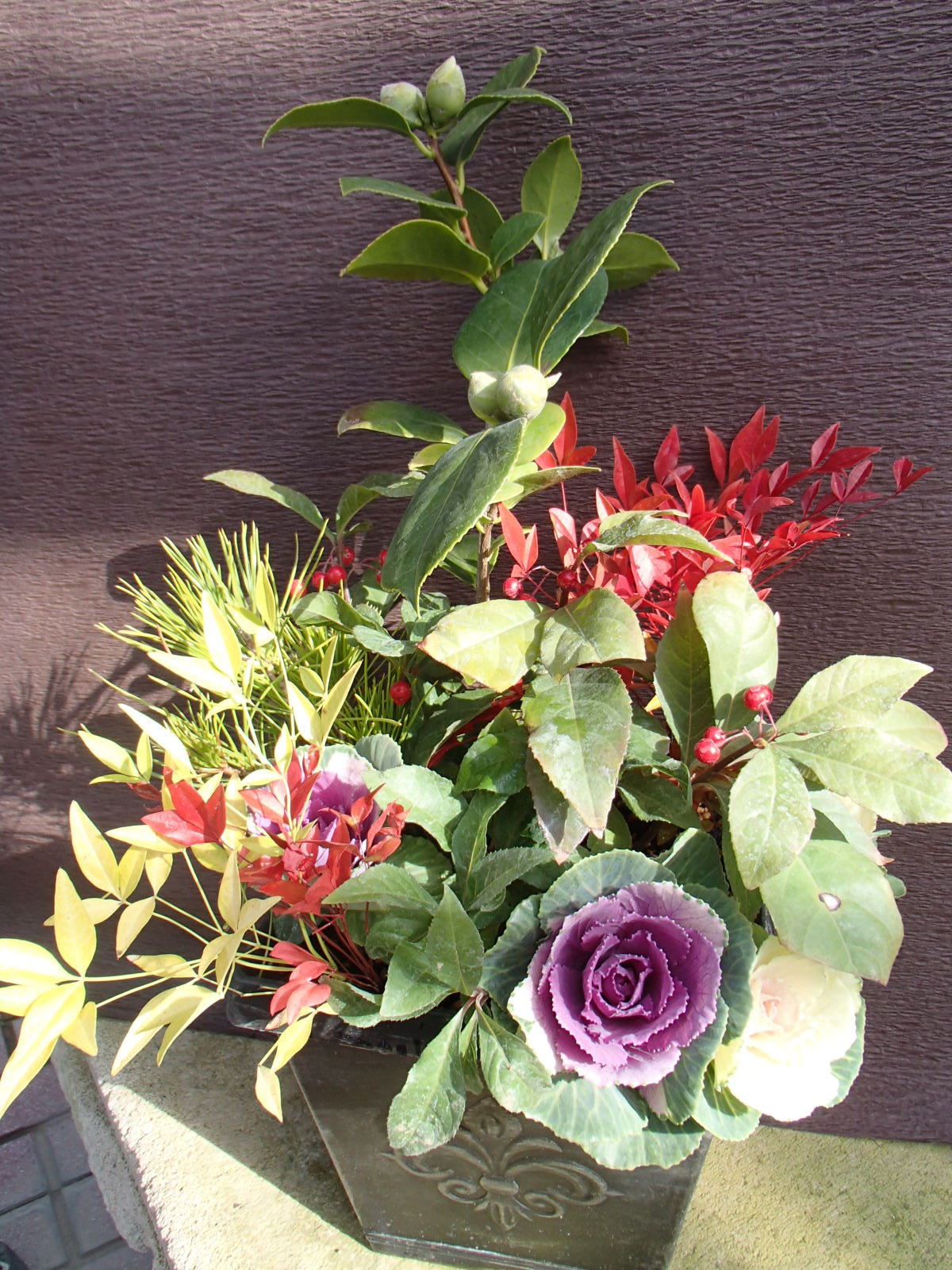 オープンガーデンみやぎ ハンギングマスター菊池先生の クリスマス お正月の寄せ植え ハンギングバスケット 講座