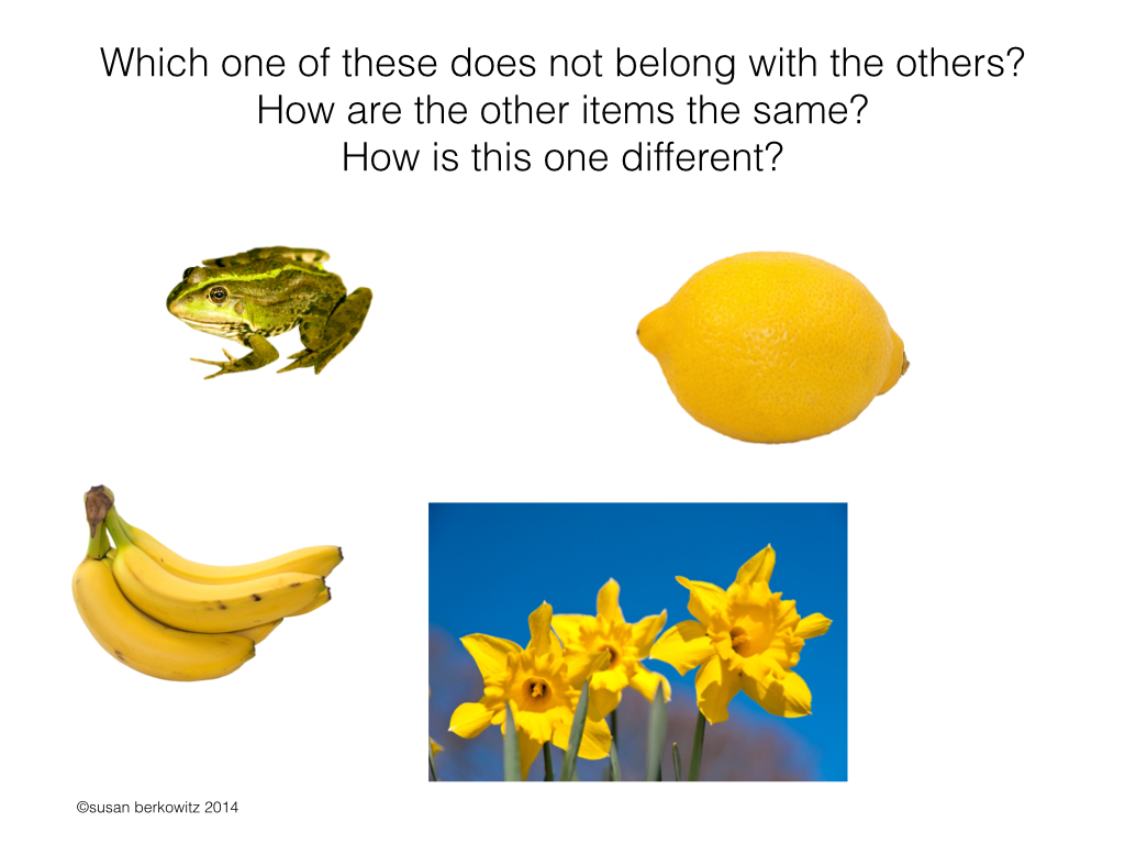 One of These Things is Not Like the Others or is it? Susan Berkowitz