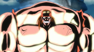 Daftar Buah Iblis Dan Penggunanya Yang Diketahui Sudah Tewas [One Piece]