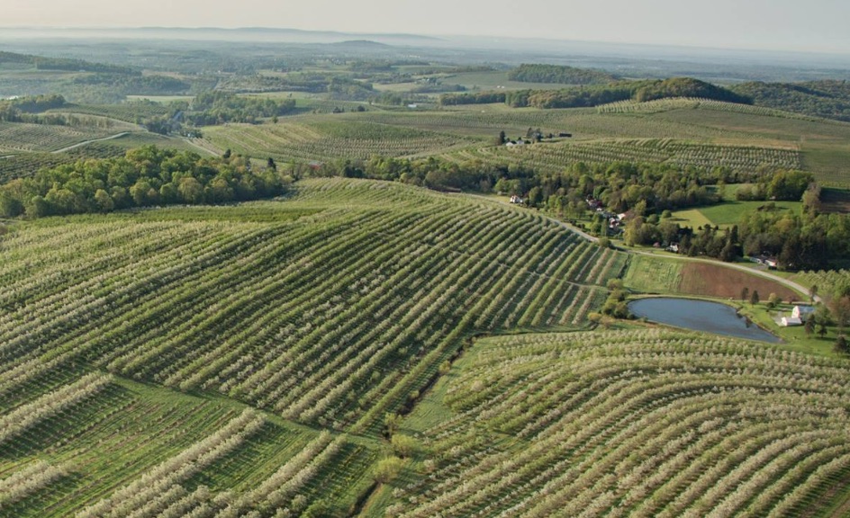 PA Environment Digest Blog: Land Conservancy Of Adams County Protects