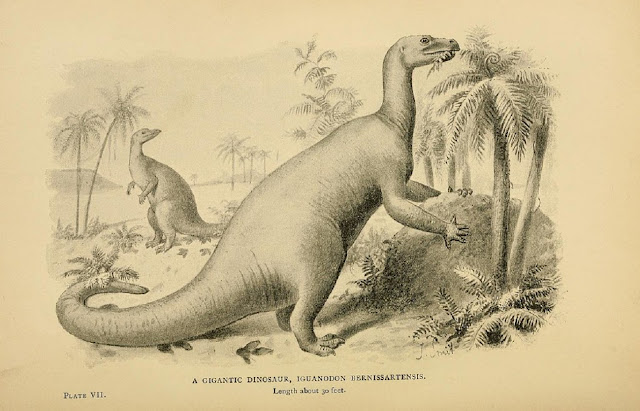 Гигантский динозавр, или игуанодонт (Iguanodon bernissatenses), длиной около 30 футов