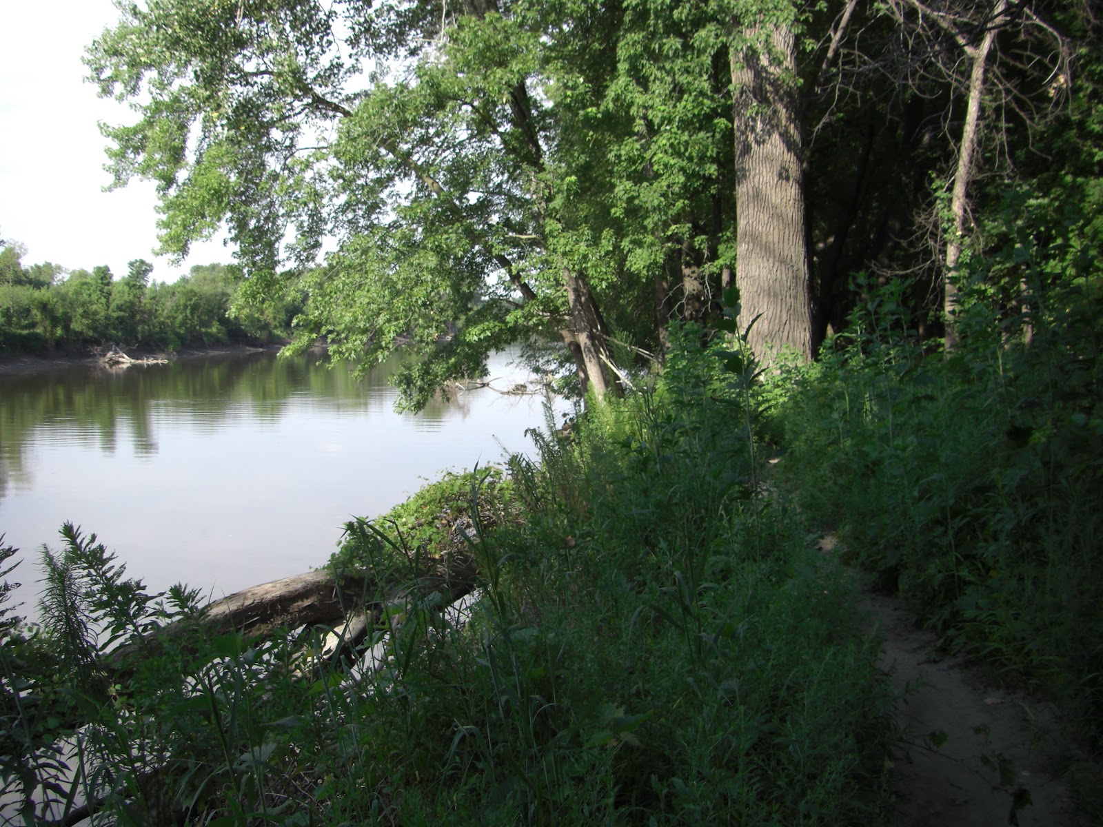 MN Bike Trail Navigator Minnesota River Bottoms West Segment Mid Summer Trail Report