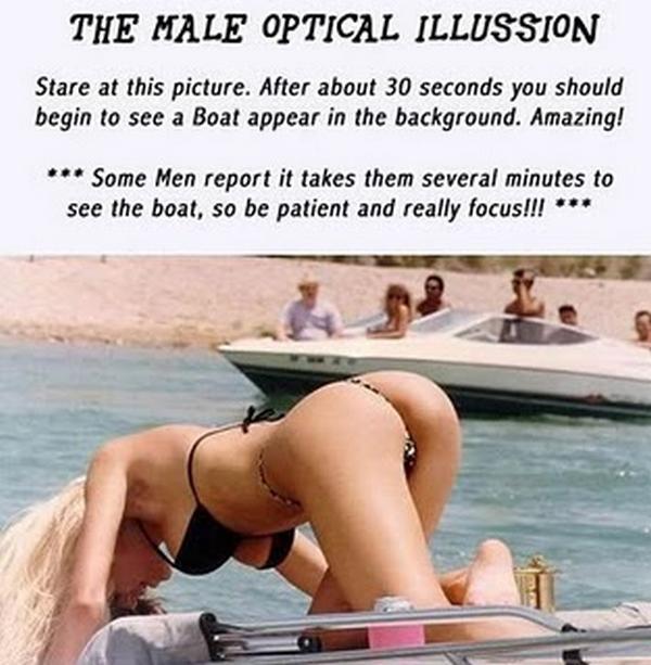 Porn Optical Illusions Telegraph