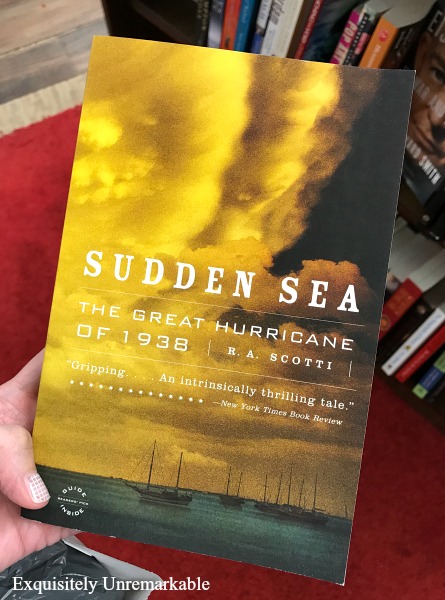 Sudden Sea By RA Scotti