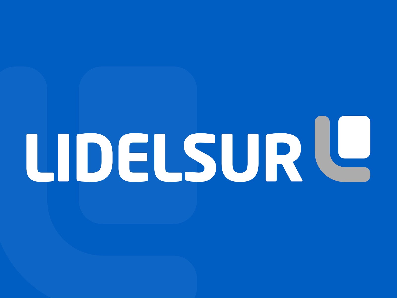 LIDELSUR