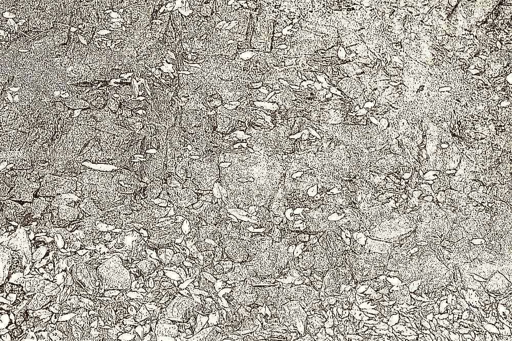 삼각산 도선사 삼각산 도선사