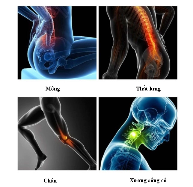 Máy massage cầm tay không dây Fascialgun trị liệu đau mỏi căng cơ 11 5ff9036992bc3f394b97ad4d 1617800627144 46d6d111 d171 4173 8f83 e7a7abee5b48