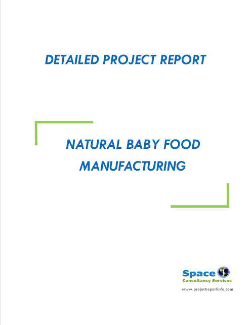 Project Report on Natural Baby Food Manufacturing