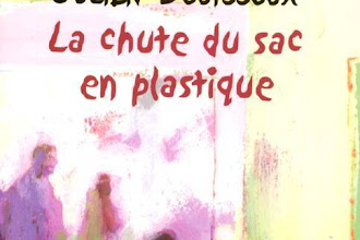 Lundi Librairie : La chute du sac en plastique - Julien Bouissoux 