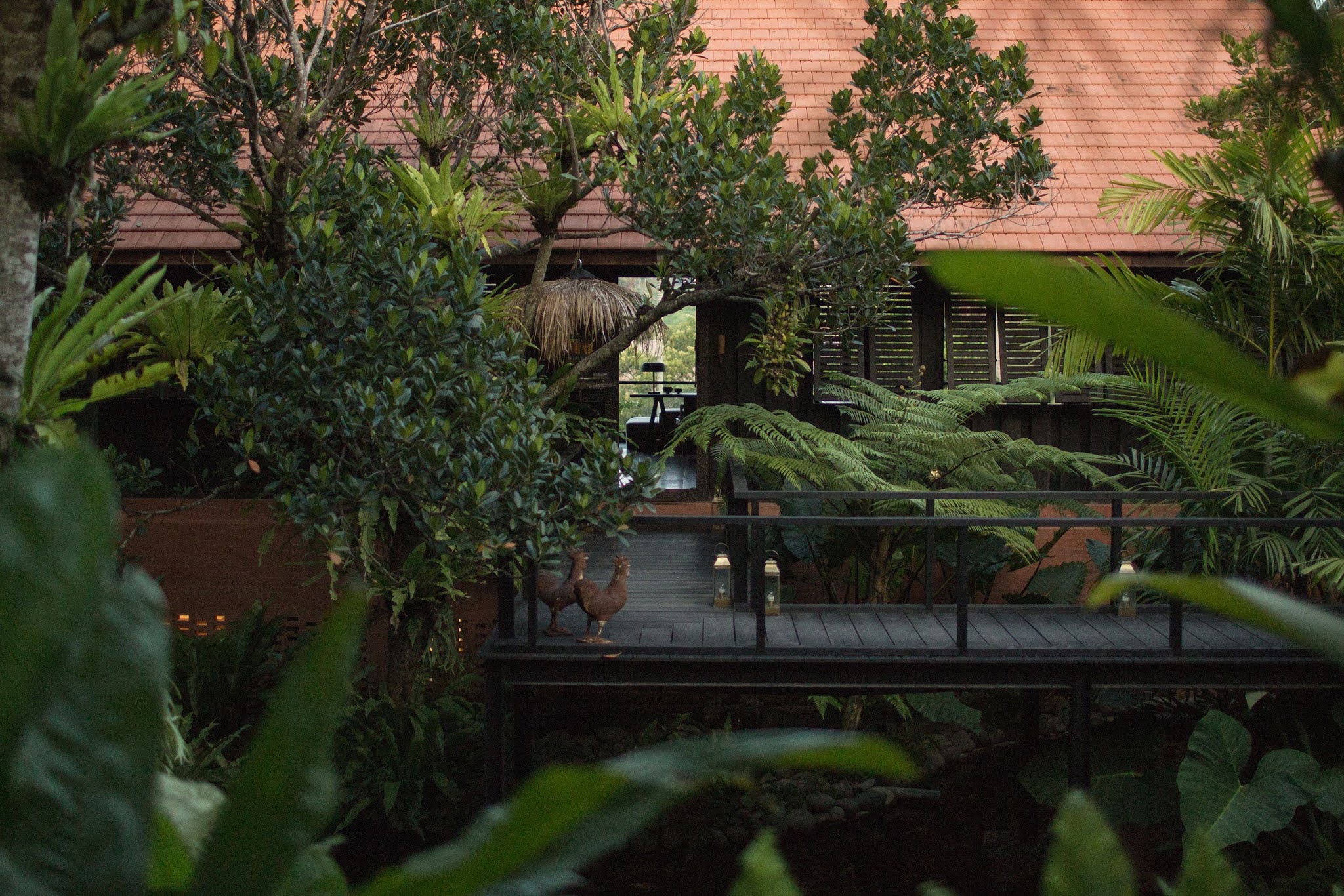 ������� ���� ���� ���� ��� ������� 01_p_studio_jencquel