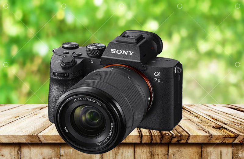 12+ Best Dslr Camera in World