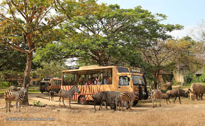 Panduan dan Tutorial Cara Membuat Blog - Blogger