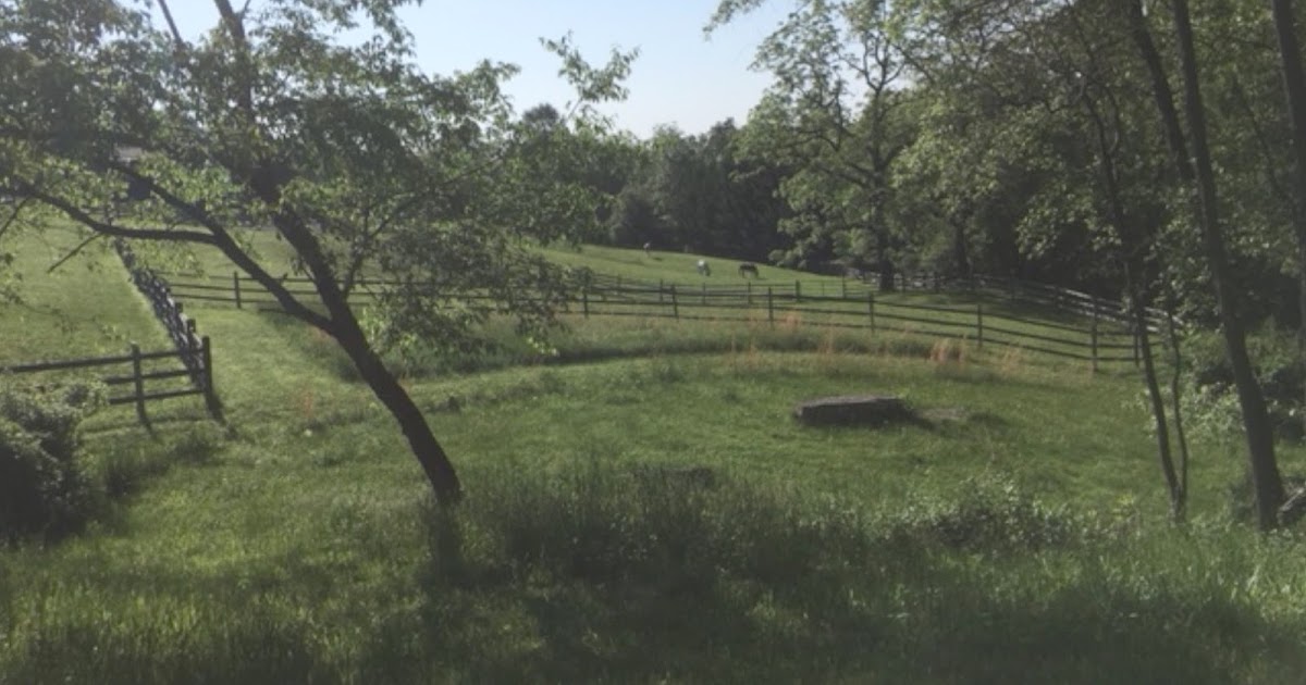 PA Environment Digest Blog Allegheny Land Trust Helps Landowner