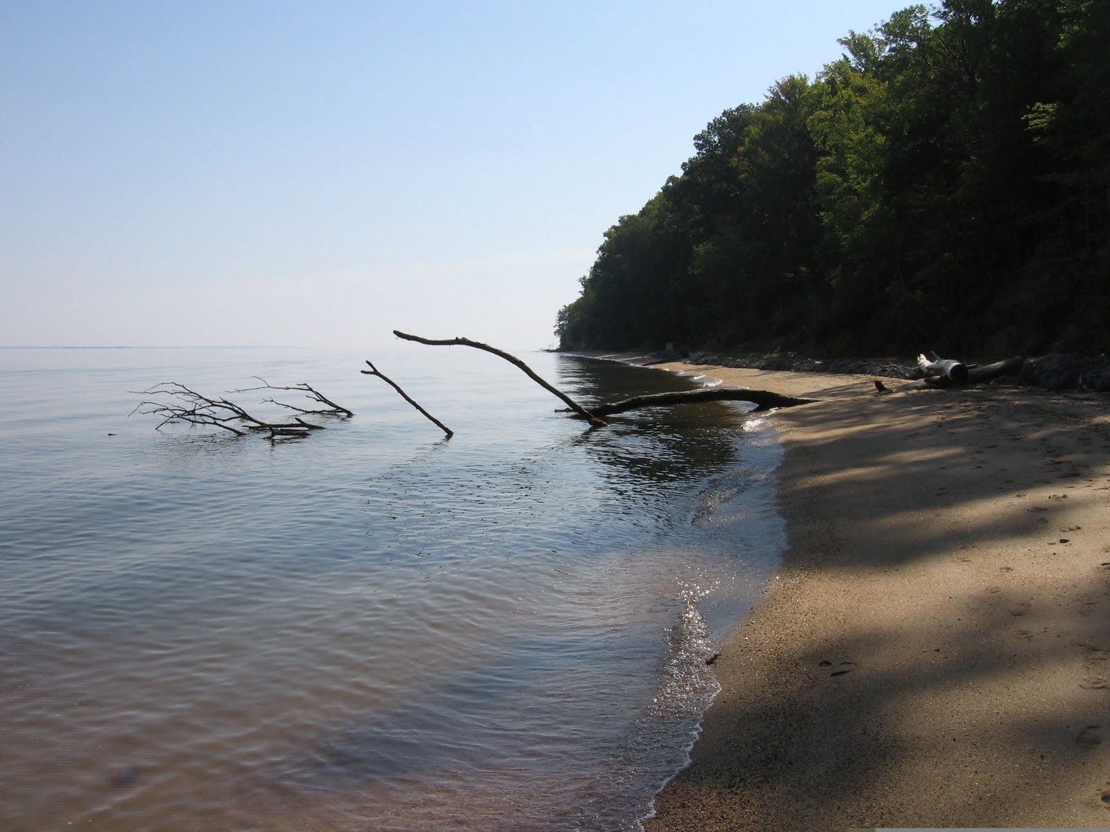 Life, Love, and Outside: Westmoreland State Park, VA