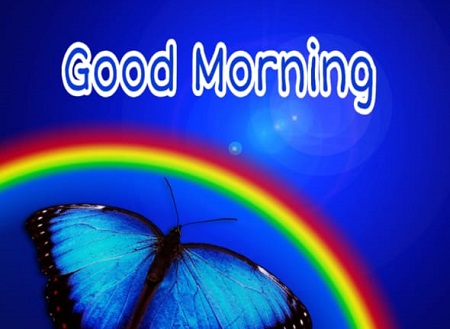 Good Morning Butterfly Good Morning Butterfly