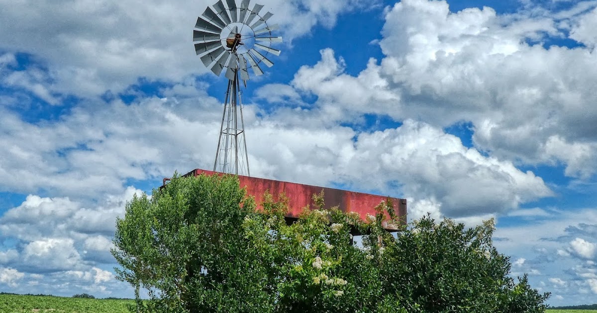 On a Farm in Wayne County