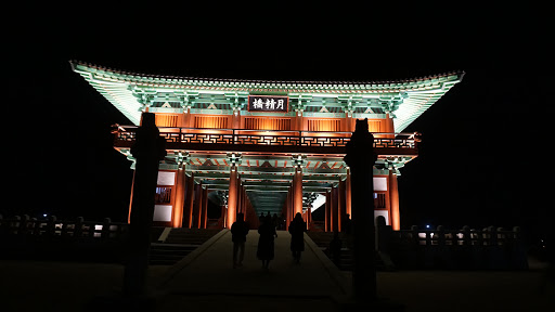 DSC08502.JPG