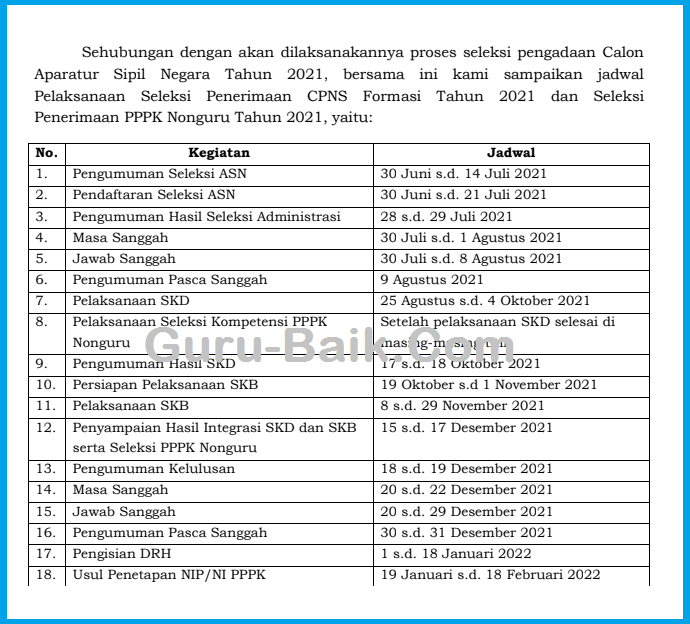 Resmi! Berikut Jadwal Seleksi CPNS Dan PPPK Non guru Tahun 2021 Dari