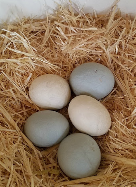 nest filled with straw and fake eggs