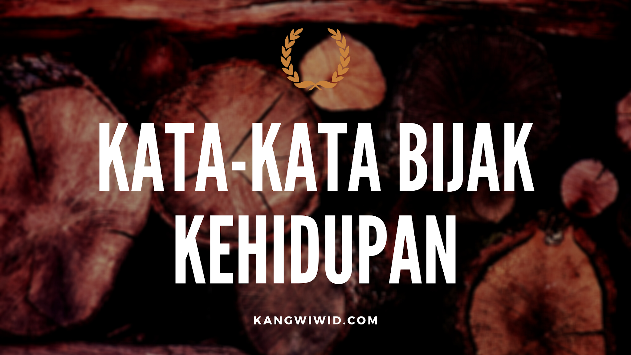 60 Kata-kata bijak lucu tentang kehidupan - Kang Wiwid