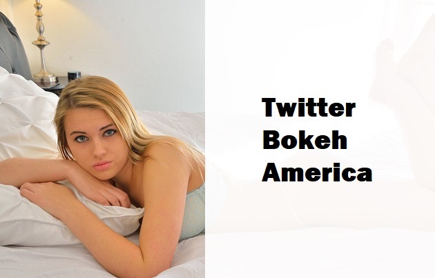 Twitter Bokeh America