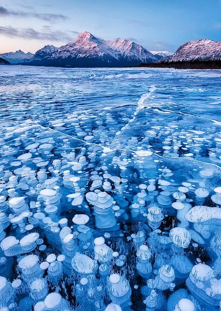 What Bubbles Beneath the Ice (Photos)