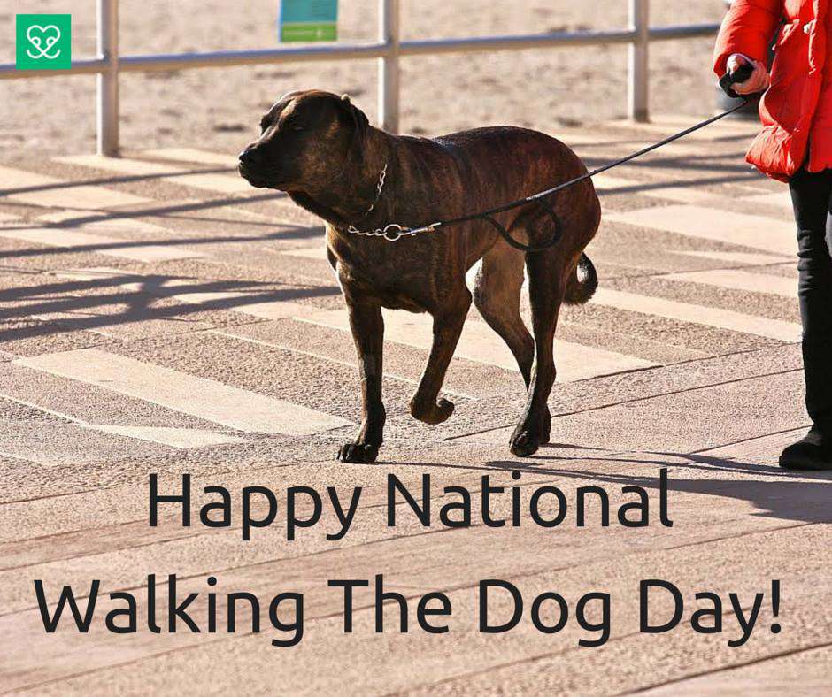 National Walking the Dog Day