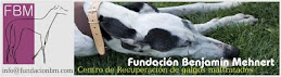 Fundación Benjamín Mehnert