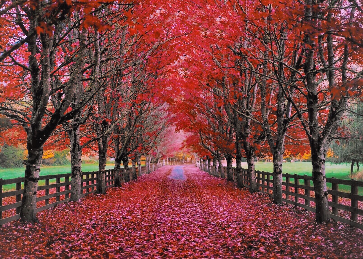 Вашингтон осенью