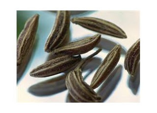 bulmaca bil hint kimyonu kara kimyon gibi adlar da verilen bir tur baharat bulmaca bil hint kimyonu kara kimyon gibi adlar da verilen bir tur baharat