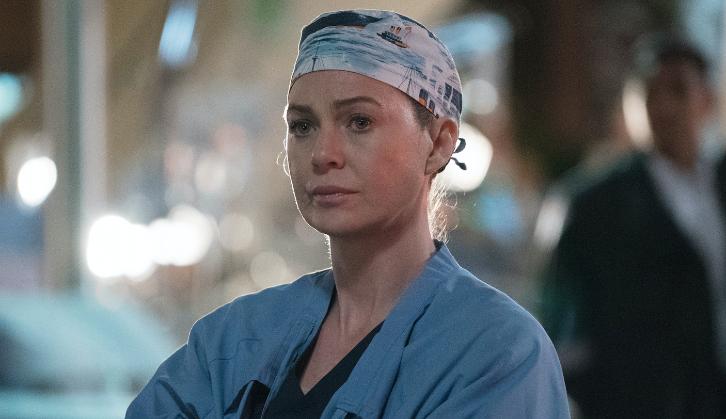 Grey's Anatomy - Episode 13.24 - Ring of Fire (Season Finale) - Promos, Sneak Peeks, Promotional Photos & Press Release