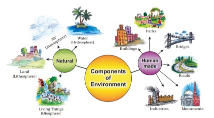 Environment class 7 Social Science (Geography) Questions Answers - edunation19