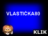 VLASTIČKA 80