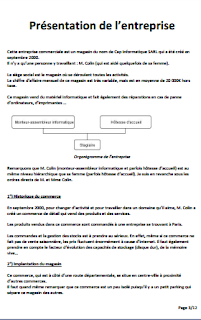 exemple de projet informatique rediger