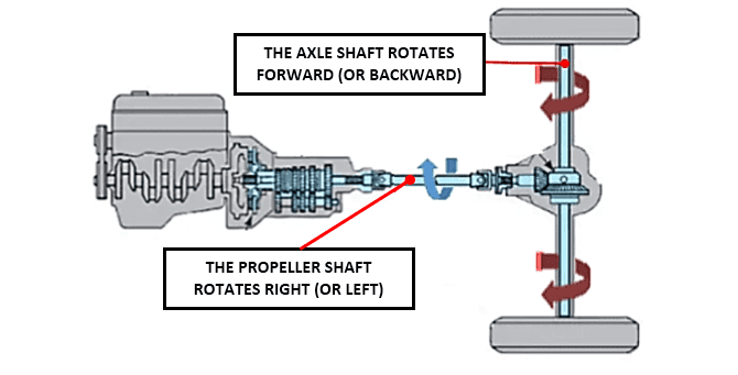 What does a differential do in a car