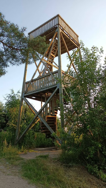 Bird watch tower