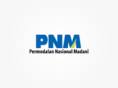logo permodalan nasional madani_237 design