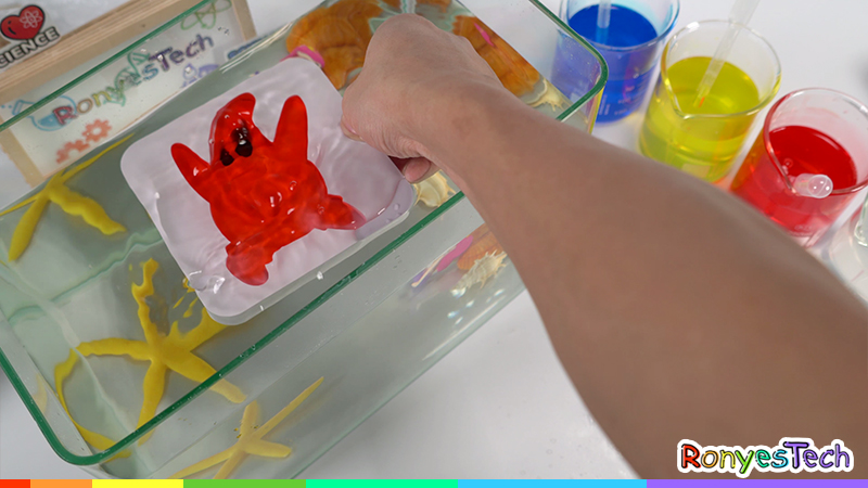 How to Make Homemade Instant Alginate Worm? - Science Experiments for