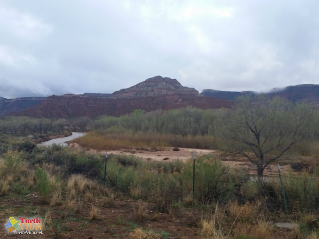 The #ZionHalf course winds through the Zion Canyon with breathtaking views.