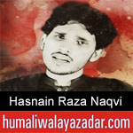 https://humaliwalaazadar.blogspot.com/2019/08/hasnain-raza-naqvi-nohay-2020.html
