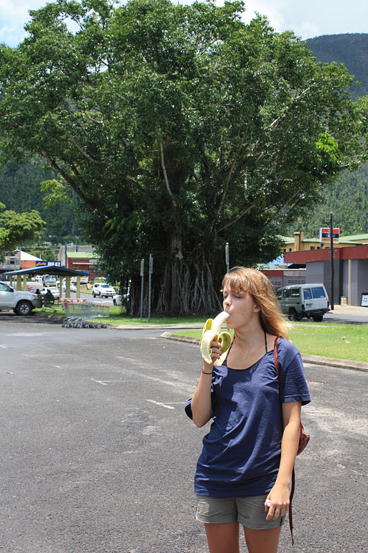 das doppelte Lottchen: Dezember 2011