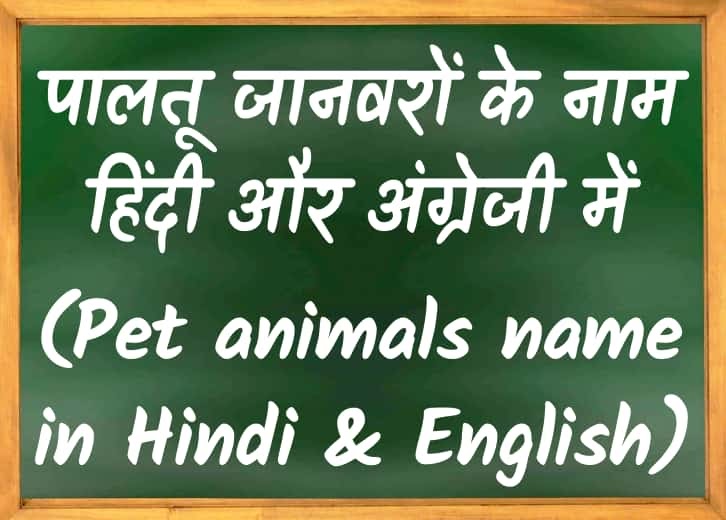 पालतू जानवरों के नाम हिंदी और अंग्रेजी में | Pet Animals name in Hindi and  English