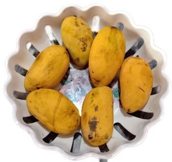 shfrni10 article-Benefits of mango by shfrni10 article-