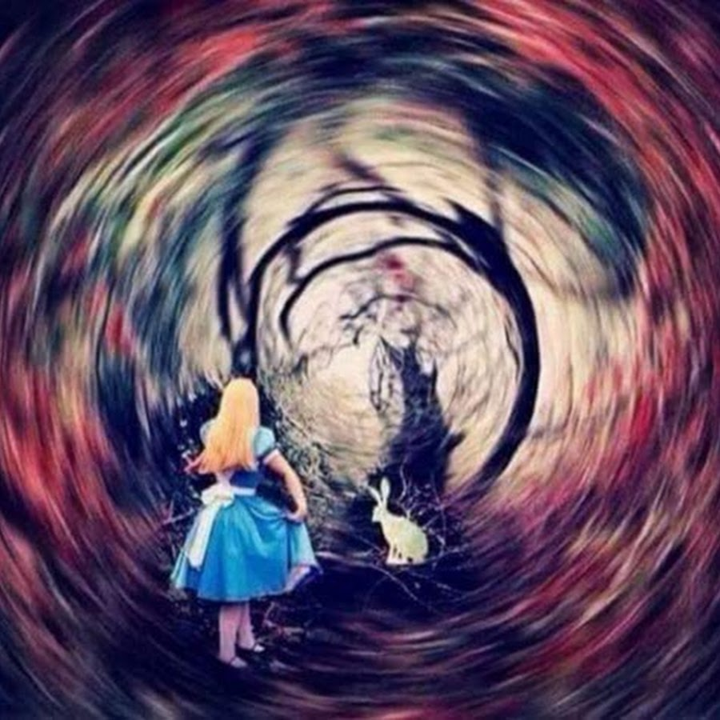 Кроличья нора рисунок